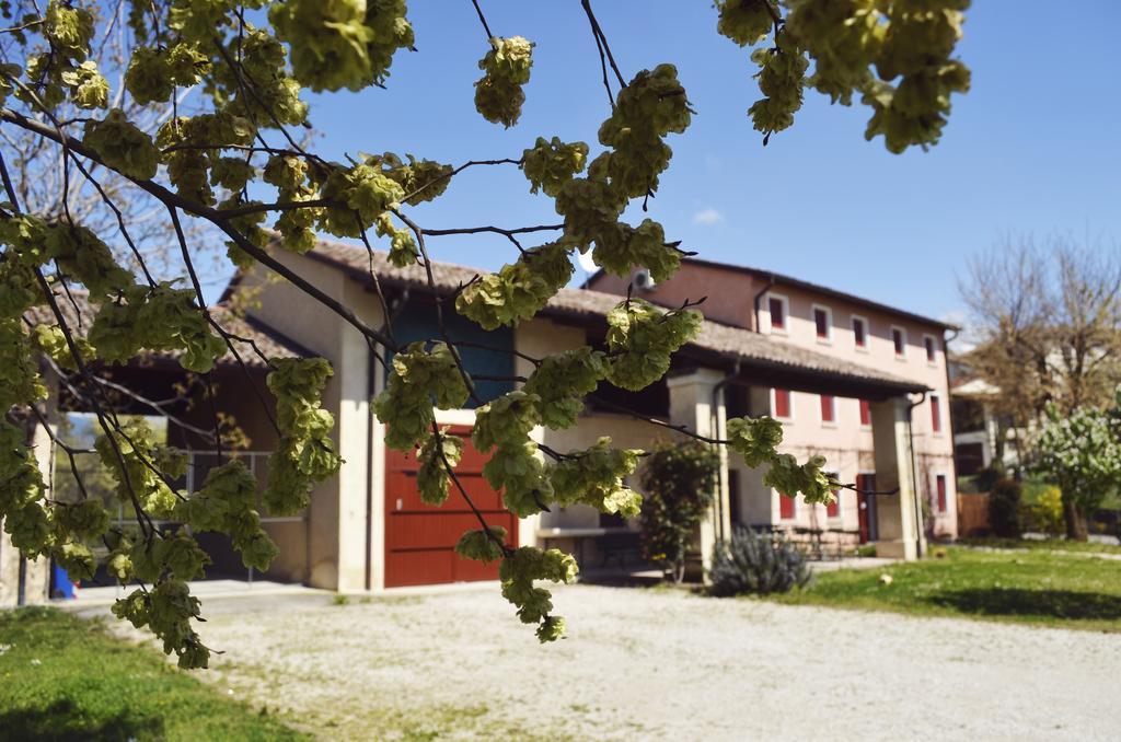 Agriturismo Ca Roer San Zenone Екстериор снимка